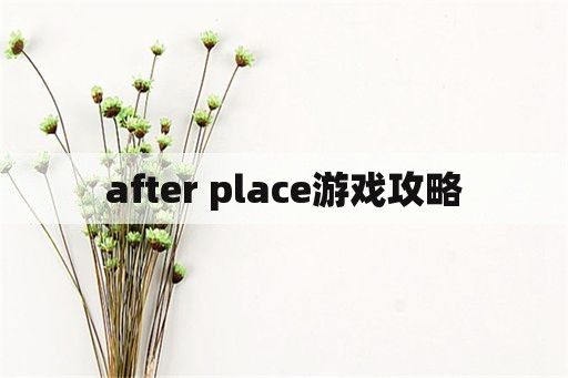 after place游戏攻略
